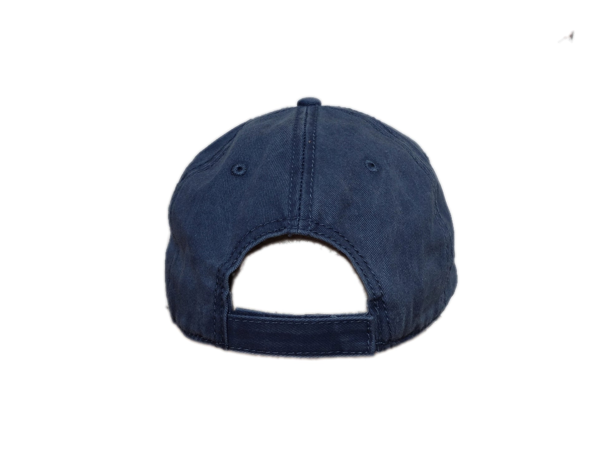back side view of navy blue dad hat with square patch showing fish under waves